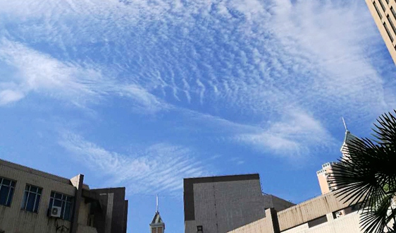 商务部电子商务司负责人介绍2025年1-9月我国电子商务发展情况