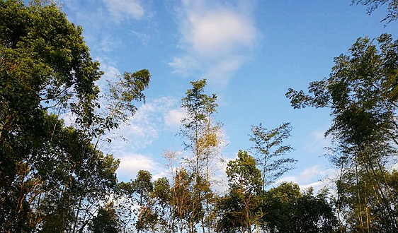 寧夏綠色制造體系加速成型 65家國家級綠色工廠引領(lǐng)產(chǎn)業(yè)低碳轉(zhuǎn)型?