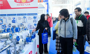 欢迎参加2026江苏金湖|长三角国际智能仪表产业博览会