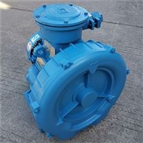 2.2KW吸塵設(shè)備用防爆漩渦氣泵現(xiàn)貨