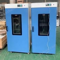 DGG-9006系列大型立式干燥箱