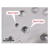 流体包裹体微量元素分析