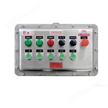 油氣罐區(qū)照明與動(dòng)力控制不銹鋼防爆控制箱