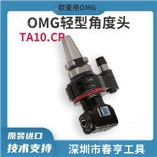 OMG 轻型角度头TA10.CP数控加工侧铣头