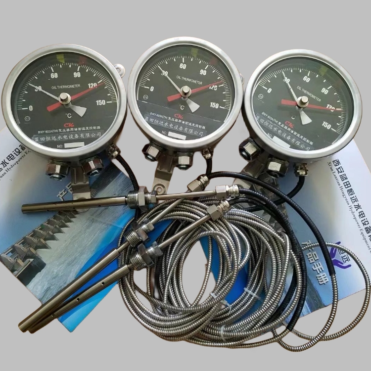 BWY-803A-802A(TH)溫度指示控制器