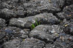 重點控制的土壤有毒有害物質名錄(第一批)