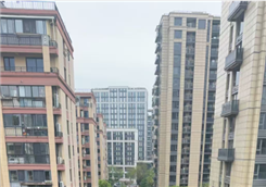 开启数智融合新篇章 杭州发布城乡建设领域“人工智能 ”行动方案